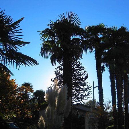 Villa Garni Gardenia Caslano Εξωτερικό φωτογραφία
