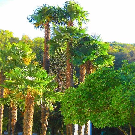 Villa Garni Gardenia Caslano Εξωτερικό φωτογραφία